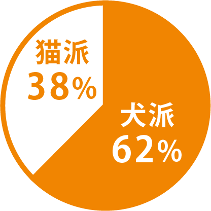 猫派38% 犬派62%